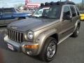 Light Khaki Metallic - Liberty Renegade Photo No. 8