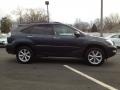 Flint Mica - RX 350 AWD Photo No. 4
