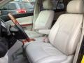 Flint Mica - RX 350 AWD Photo No. 20