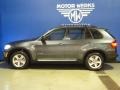 Platinum Gray Metallic - X5 xDrive 35d Photo No. 5