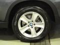 Platinum Gray Metallic - X5 xDrive 35d Photo No. 30