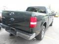 2004 Aspen Green Metallic Ford F150 XLT SuperCrew  photo #7