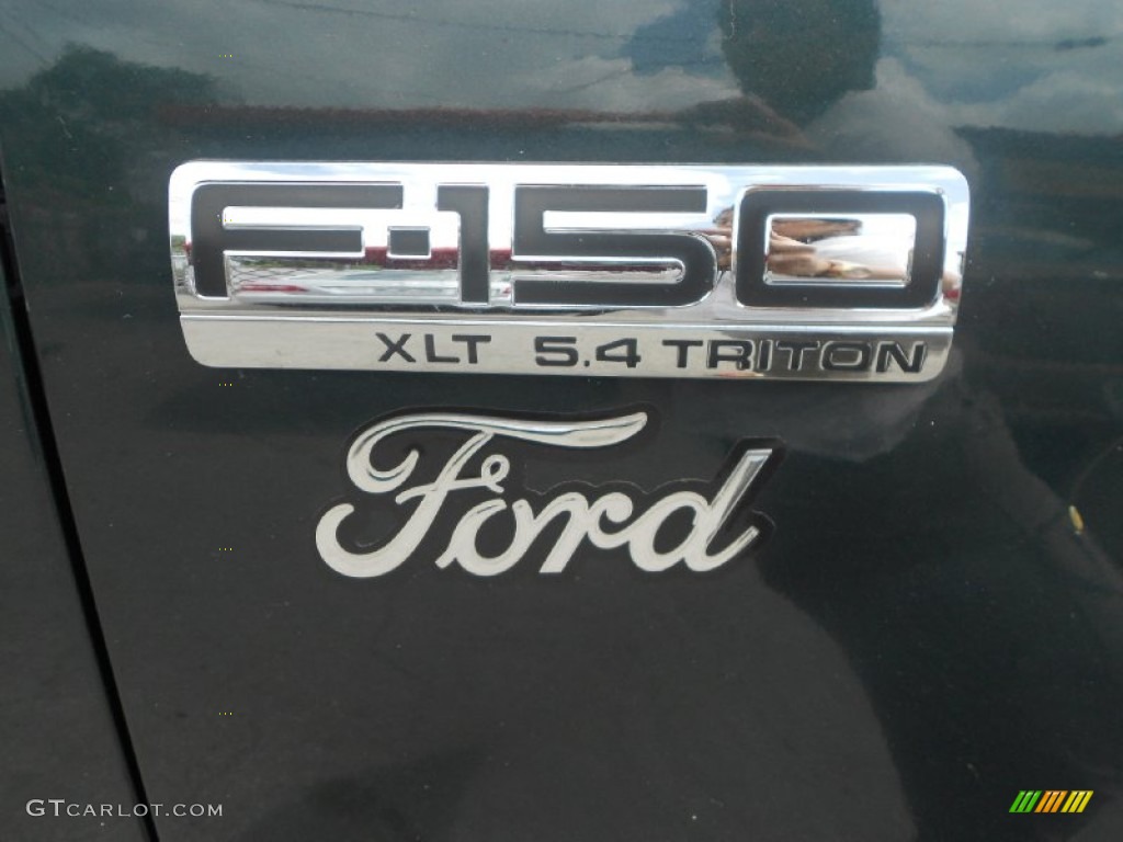 2004 F150 XLT SuperCrew - Aspen Green Metallic / Dark Flint photo #14