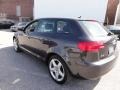 Lava Grey Pearl Effect - A3 2.0T Photo No. 11