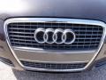 Lava Grey Pearl Effect - A3 2.0T Photo No. 37
