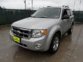 Silver Metallic - Escape XLT V6 Photo No. 7