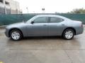 Silver Steel Metallic - Charger  Photo No. 6