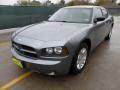 Silver Steel Metallic - Charger  Photo No. 7