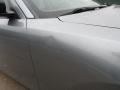 Silver Steel Metallic - Charger  Photo No. 13