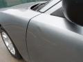 Silver Steel Metallic - Charger  Photo No. 16