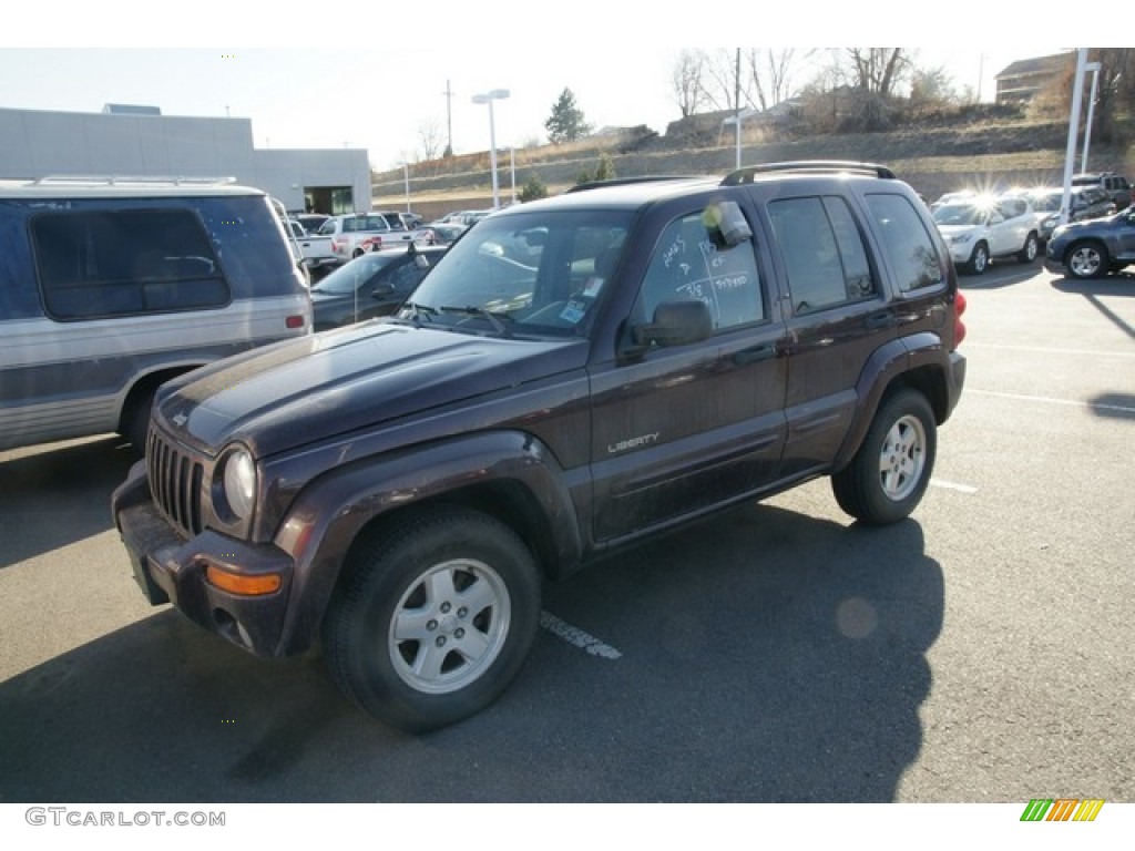 2004 Liberty Limited 4x4 - Deep Molten Red Pearl / Light Taupe/Taupe photo #4