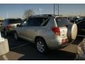 Savannah Metallic - RAV4 Limited 4WD Photo No. 3