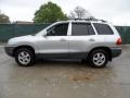 2003 Pewter Hyundai Santa Fe GLS  photo #6