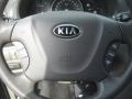 2008 Silver Metallic Kia Sedona LX  photo #19