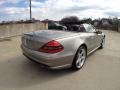 2007 Pewter Metallic Mercedes-Benz SL 55 AMG Roadster  photo #5