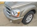 Light Khaki Metallic - Durango SLT Photo No. 9