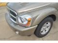 2006 Light Khaki Metallic Dodge Durango SLT  photo #9