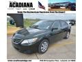 Spruce Green Mica 2011 Toyota Camry LE V6