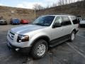 Ingot Silver Metallic 2012 Ford Expedition XLT Sport 4x4 Exterior