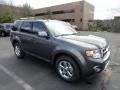 2012 Sterling Gray Metallic Ford Escape Limited V6 4WD  photo #1