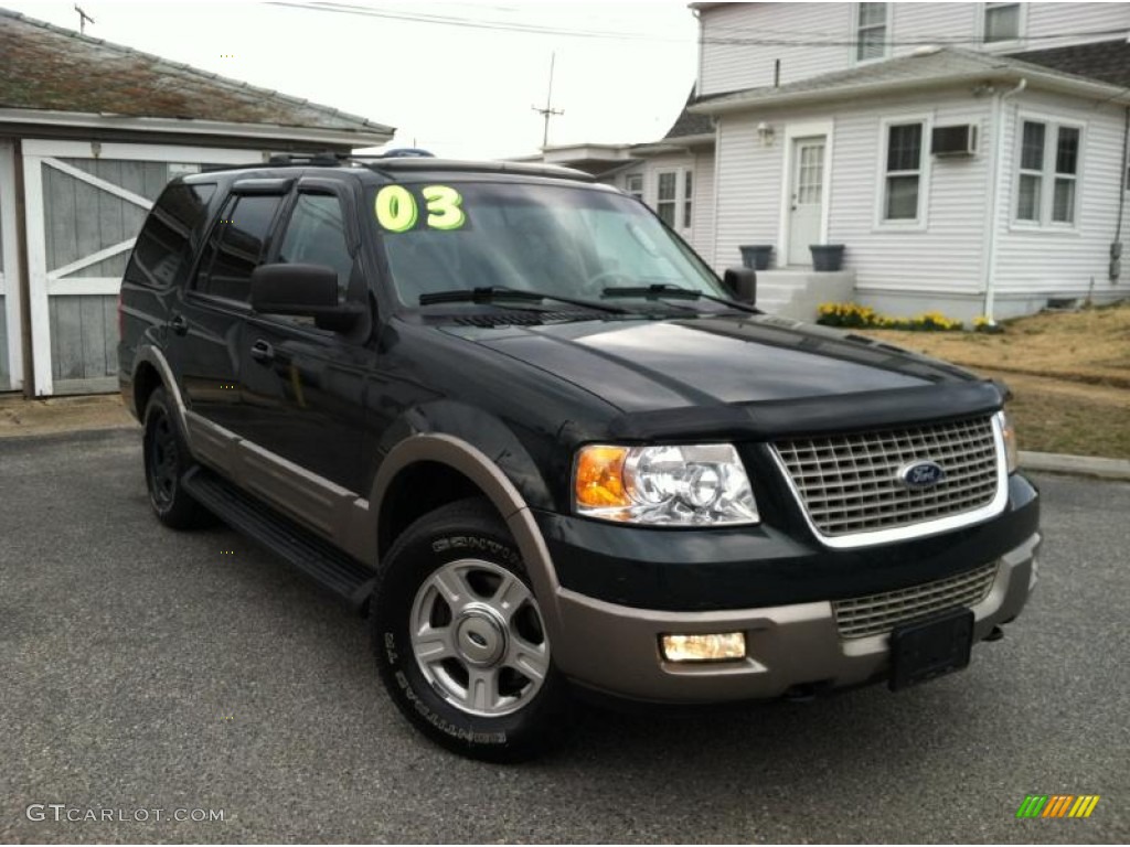 2003 Expedition Eddie Bauer 4x4 - Aspen Green Metallic / Medium Parchment photo #1