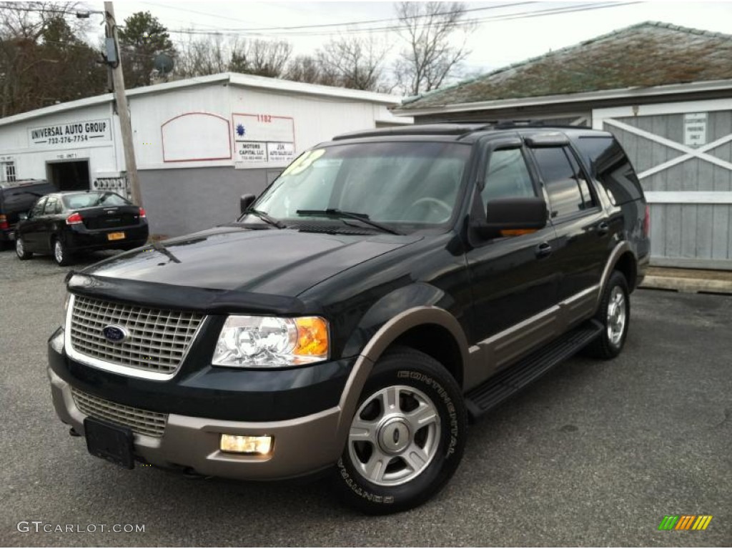 2003 Expedition Eddie Bauer 4x4 - Aspen Green Metallic / Medium Parchment photo #3