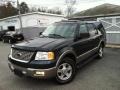 2003 Aspen Green Metallic Ford Expedition Eddie Bauer 4x4  photo #3