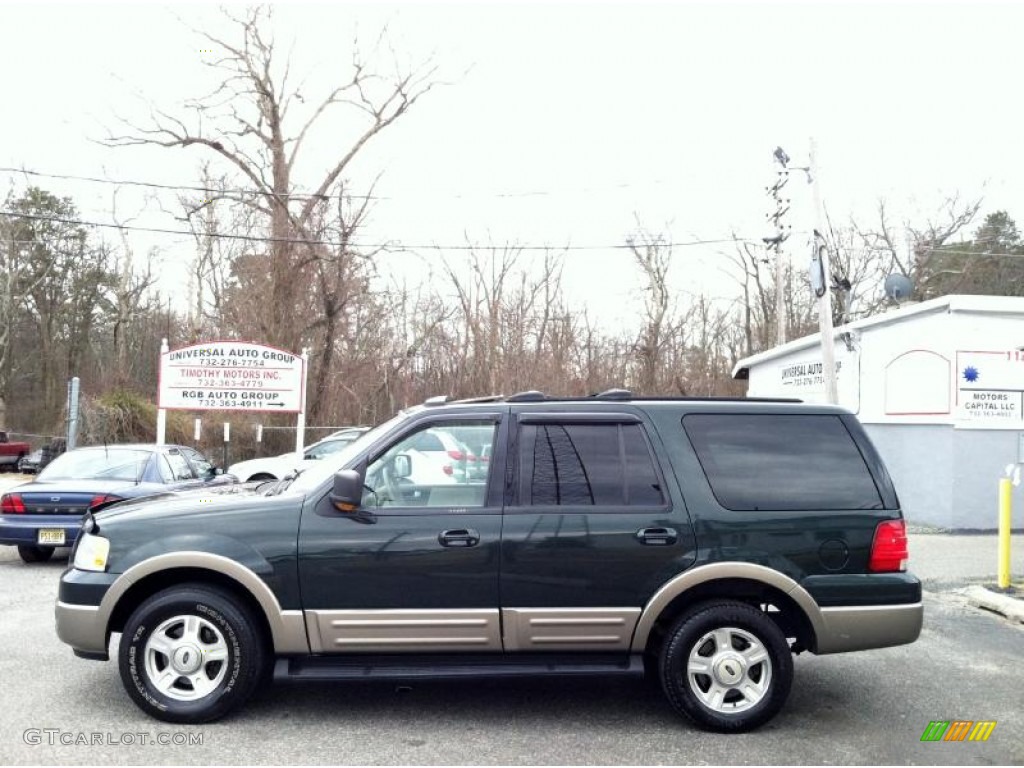 2003 Expedition Eddie Bauer 4x4 - Aspen Green Metallic / Medium Parchment photo #4