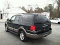 2003 Aspen Green Metallic Ford Expedition Eddie Bauer 4x4  photo #5