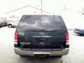 2003 Aspen Green Metallic Ford Expedition Eddie Bauer 4x4  photo #6
