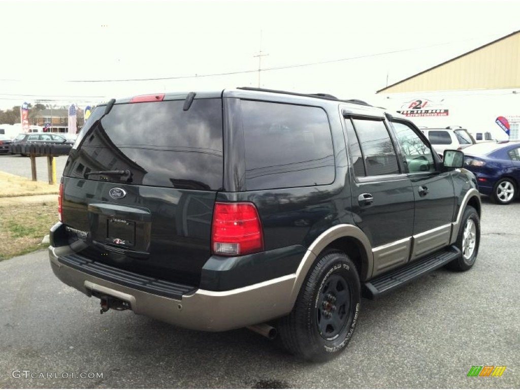 2003 Expedition Eddie Bauer 4x4 - Aspen Green Metallic / Medium Parchment photo #7
