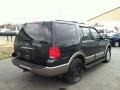2003 Aspen Green Metallic Ford Expedition Eddie Bauer 4x4  photo #7