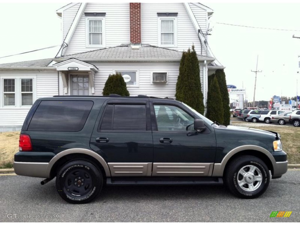 2003 Expedition Eddie Bauer 4x4 - Aspen Green Metallic / Medium Parchment photo #8