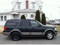 2003 Aspen Green Metallic Ford Expedition Eddie Bauer 4x4  photo #8