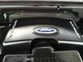 2003 Aspen Green Metallic Ford Expedition Eddie Bauer 4x4  photo #42