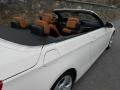 2009 Alpine White BMW 3 Series 328i Convertible  photo #17