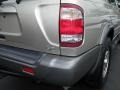 2000 Sahara Beige Metallic Nissan Pathfinder SE  photo #10