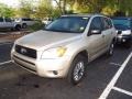Beige Metallic - RAV4  Photo No. 4