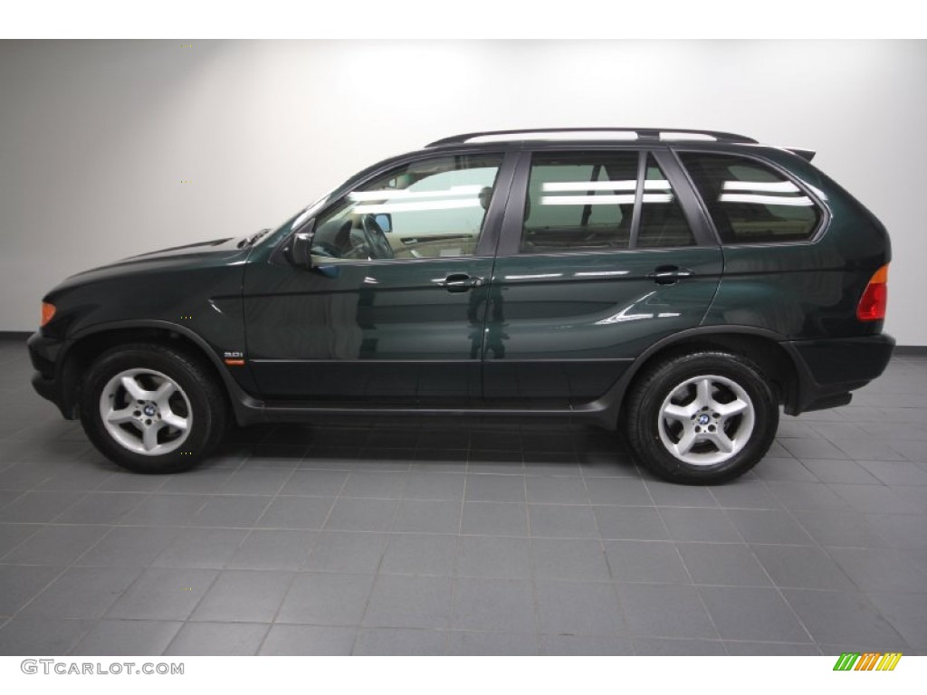 Oxford Green Metallic 2003 BMW X5 3.0i Exterior Photo #62172547