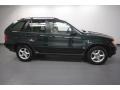 Oxford Green Metallic - X5 3.0i Photo No. 7