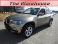 Platinum Bronze Metallic - X5 3.0si Photo No. 1