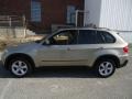 2007 Platinum Bronze Metallic BMW X5 3.0si  photo #9