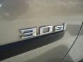 Platinum Bronze Metallic - X5 3.0si Photo No. 37