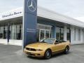 2010 Sunset Gold Metallic Ford Mustang V6 Premium Convertible  photo #2