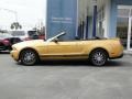 2010 Sunset Gold Metallic Ford Mustang V6 Premium Convertible  photo #6