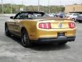 2010 Sunset Gold Metallic Ford Mustang V6 Premium Convertible  photo #8