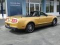 2010 Sunset Gold Metallic Ford Mustang V6 Premium Convertible  photo #11