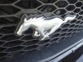 2005 Black Ford Mustang V6 Premium Convertible  photo #32