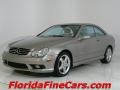 Pewter Metallic 2004 Mercedes-Benz CLK 500 Coupe