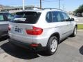 2008 Titanium Silver Metallic BMW X5 4.8i  photo #7